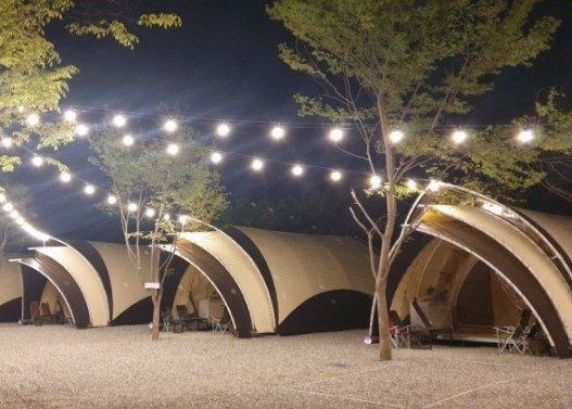 전구 조명 아래 객실